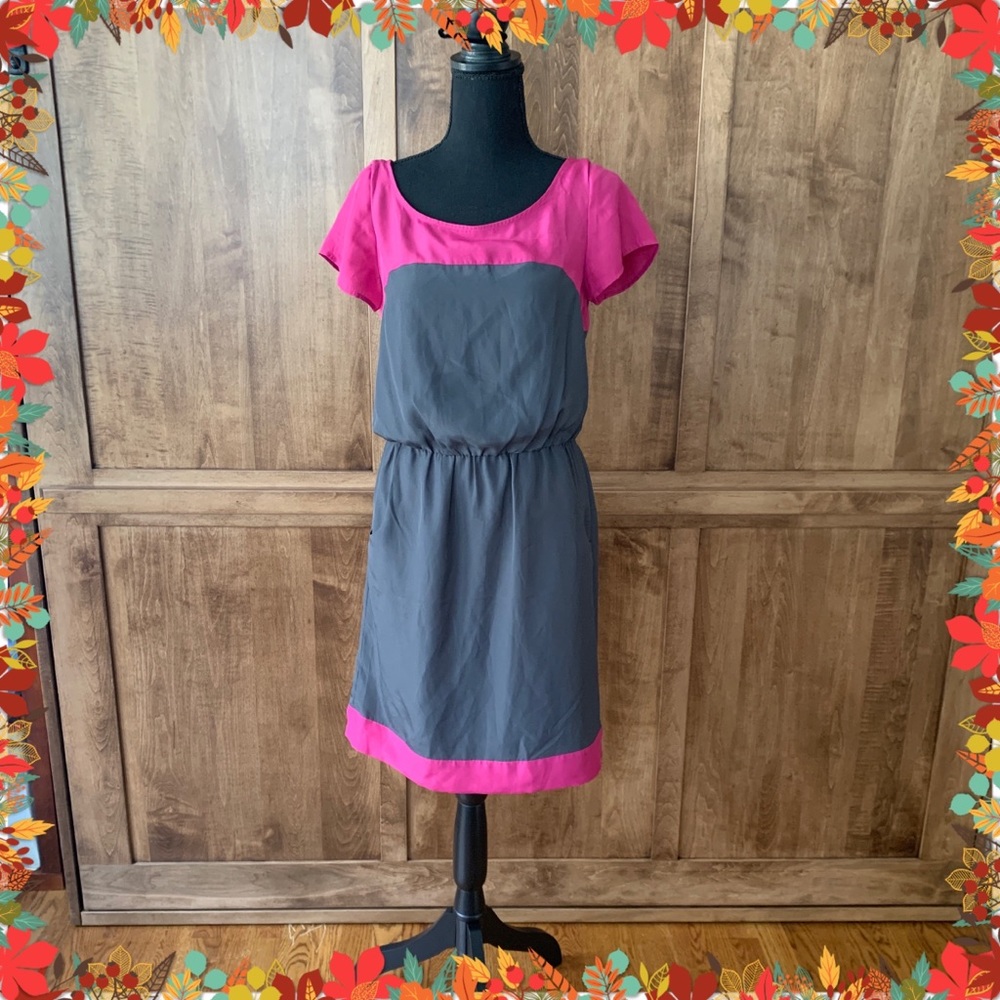 3/$30 NWT Banana Republic dress pink and gray 4